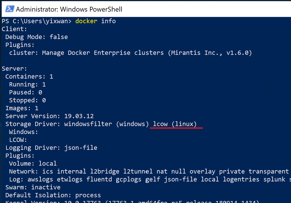 docker_info_lcow.png