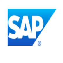 SAP Data Custodian.png