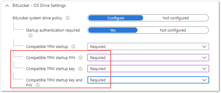 Figure 2. BitLocker - OS Drive Settings