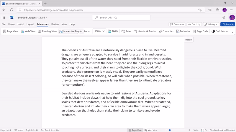 Reading Coach in Immersive Reader plus new features coming to Reading Progress in Microsoft Teams