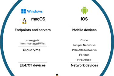 Defender Vulnerability Management GA in government cloud