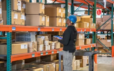 Maximizing Efficiency: Operating an External Shared Warehouse with Warehouse Management Only Mode